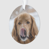 Aangepaste feestdag Ornament | Gezinshuis | Puppy (voorkant)