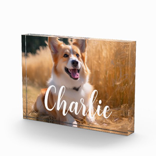 Aangepaste foto (Rechts)