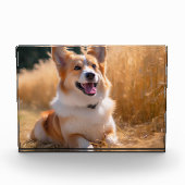 Aangepaste foto (Voorkant)