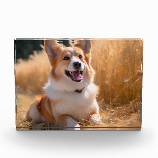 Aangepaste foto (Voorkant)