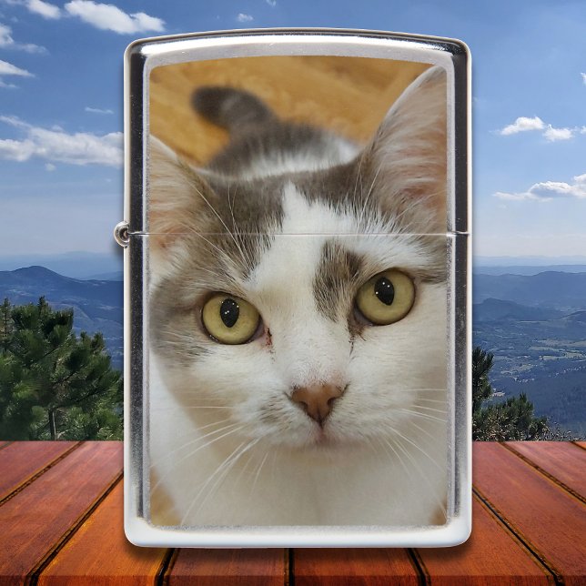 Aangepaste foto aangepast (Creator heeft geüpload)