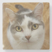 Aangepaste foto aangepast stenen onderzetter (Voorkant)