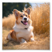 Aangepaste foto afdruk (Voorkant)