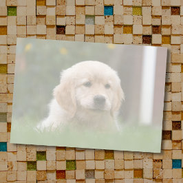 Aangepaste foto | Automatisch uw pc omzetten in li Post-it® Notes