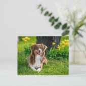 Aangepaste foto briefkaart (Staand voorkant)