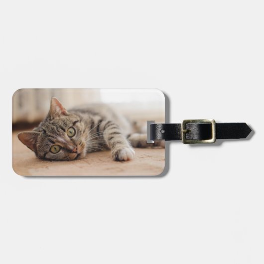 Aangepaste Foto Cat Bagagelabel (Voorkant horizontaal)
