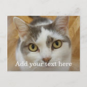 Aangepaste foto en naam op maat briefkaart (Voorkant)