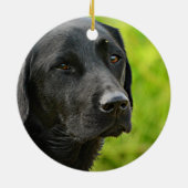 Aangepaste foto en naam van aangepast pakket keramisch ornament (Achterkant)