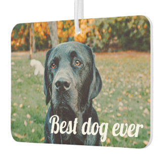 Aangepaste foto en tekst luchtverfrisser