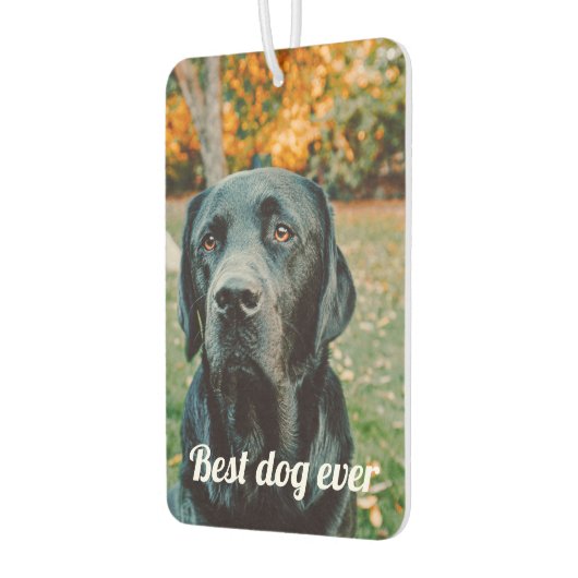 Aangepaste foto en tekst luchtverfrisser (Links)