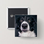 Aangepaste foto-foto van Dog Vierkante Button 5,1 Cm (Voorkant /achterkant)