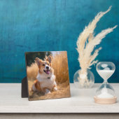 Aangepaste foto fotoplaat (Insitu)