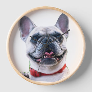 Aangepaste foto Franse Bulldog muurklok
