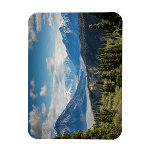 Aangepaste foto Gepersonaliseerd Afbeelding Magneet (Verticaal)