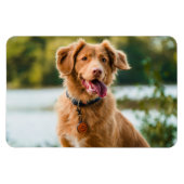 Aangepaste foto Gepersonaliseerd Afbeelding Magneet (Horizontaal)