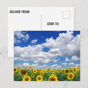 Aangepaste foto gepersonaliseerd briefkaart