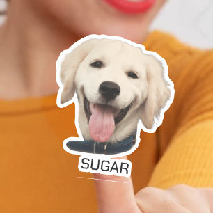 Aangepaste Foto Hond Kat Huisdier Gepersonalisee Sticker