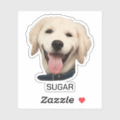 Aangepaste Foto Hond Kat Huisdier | Gepersonalisee Sticker (Vel)