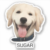 Aangepaste Foto Hond Kat Huisdier | Gepersonalisee Sticker (Voorkant)