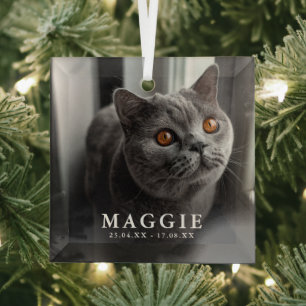 Aangepaste foto huisdier kat herdenking Kerst Glas Ornament
