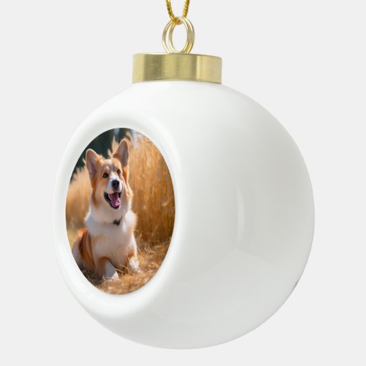 Aangepaste foto keramische bal ornament (Rechts)