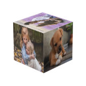 Aangepaste foto-kubbe van 4 inch kubus (Achter hoekig)