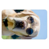 Aangepaste foto magneet (Horizontaal)