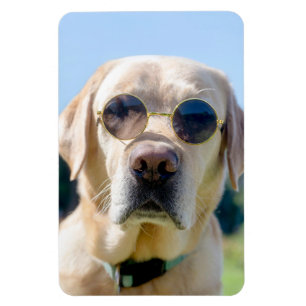 Aangepaste foto magneet