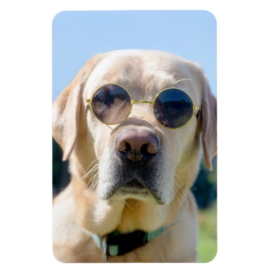 Aangepaste foto magneet (Verticaal)