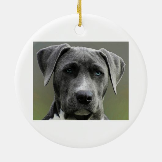 Aangepaste foto Memorial Keepomwille Pet Dog Keramisch Ornament (Achterkant)