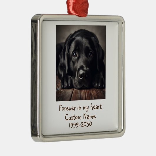 Aangepaste foto Memorial Keepomwille Pet Dog Metalen Ornament (Rechts)