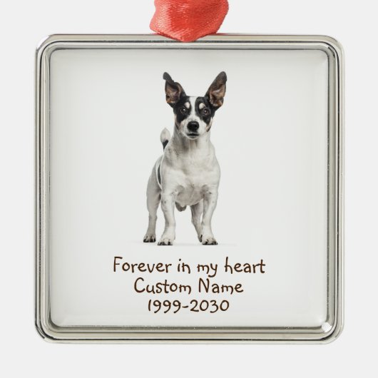 Aangepaste foto Memorial Keepsake Dog Metalen Ornament (Voorkant)