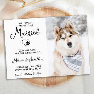 Aangepaste foto Moderne Calligrafie-hondenweddensc Save The Date