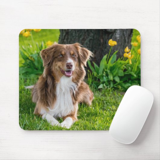 Aangepaste foto muismat (Met muis)