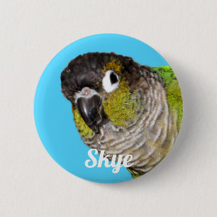 Aangepaste foto naam huisdier vogel ronde button 5,7 cm