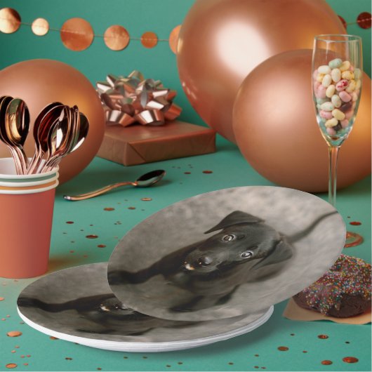 Aangepaste foto papieren bordje (Multi)