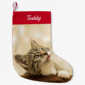 Aangepaste foto Pet Aangepast Kleine Kerstsok (Voorkant)