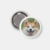 Aangepaste foto Pet Aangepast Magneet (Voorkant / Achterkant)