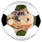 Aangepaste foto Pet Aangepast Voetbal (Gedraaid)