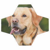 Aangepaste foto Pet Aangepast Voetbal (Enkel)