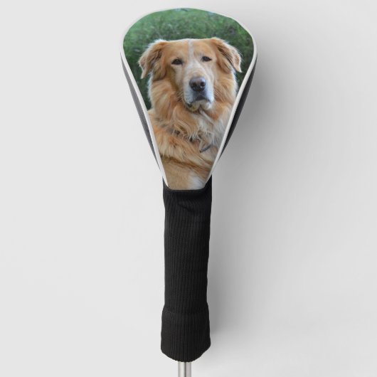 Aangepaste foto Pet Dog Aangepast Golfheadcover (Voorkant)