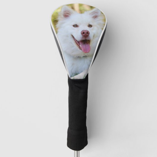 Aangepaste foto Pet Dog Aangepast Golfheadcover (Voorkant)
