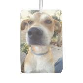 Aangepaste foto Pet Dog Luchtverfrisser (Achterkant)