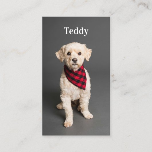 Aangepaste foto Pet Puppy Dog Social Media QR Code Visitekaartje (Voorkant)