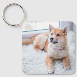Aangepaste foto-plaatsnaam Cute Custom Photo Pet D Sleutelhanger