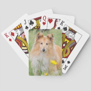 Aangepaste foto pokerkaarten