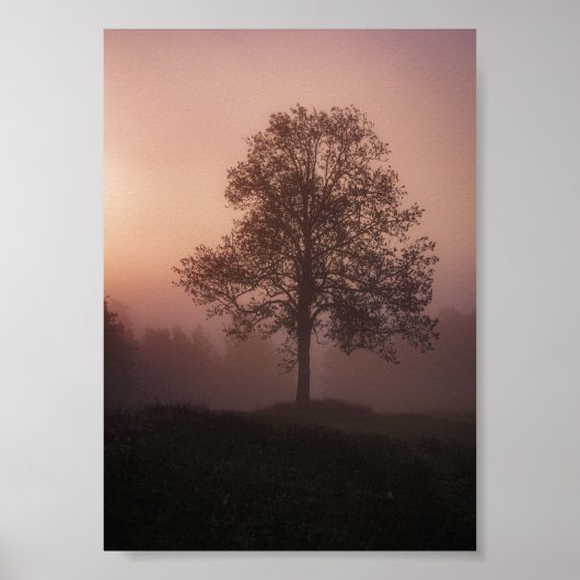 Aangepaste foto poster (Voorkant)
