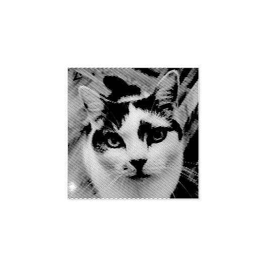 Aangepaste foto 	rubberstempel (Afrduk)