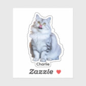 Aangepaste foto Stickers | Gepersonaliseerde Vinyl (Vel)