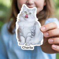 Aangepaste foto Stickers | Gepersonaliseerde Vinyl
